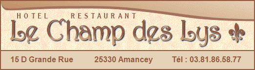 Hotel Restaurant Le Champ des Lys