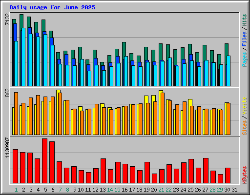 Daily usage for June 2025