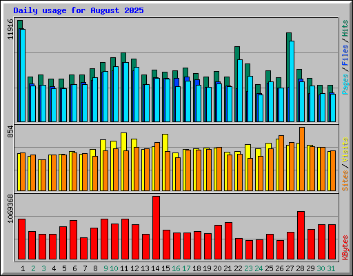 Daily usage for August 2025