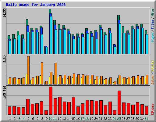 Daily usage for January 2026