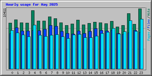 Hourly usage for May 2025