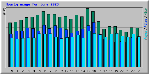 Hourly usage for June 2025