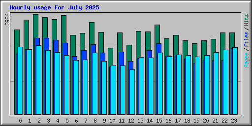Hourly usage for July 2025