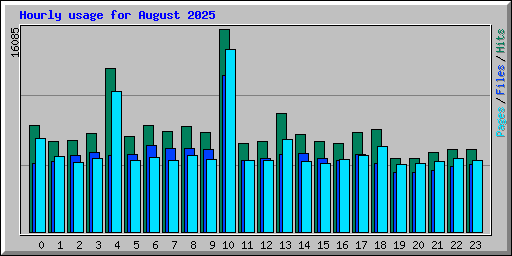Hourly usage for August 2025