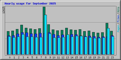Hourly usage for September 2025