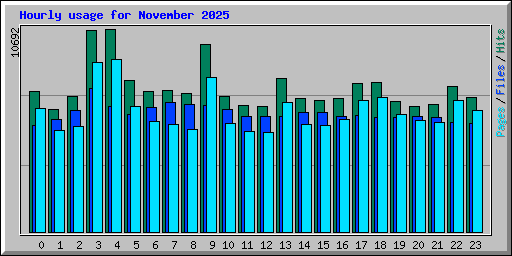 Hourly usage for November 2025