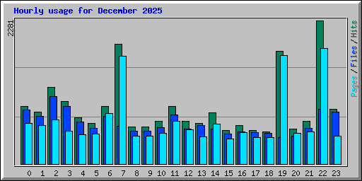 Hourly usage for December 2025