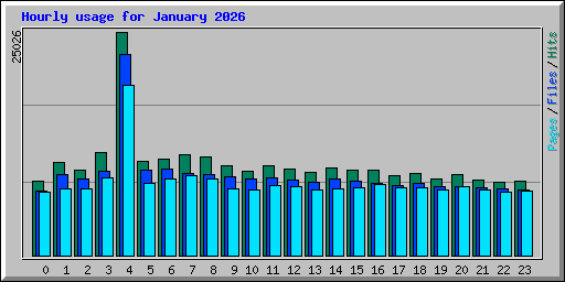 Hourly usage for January 2026