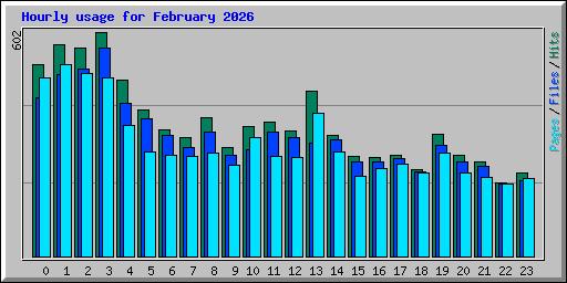 Hourly usage for February 2026