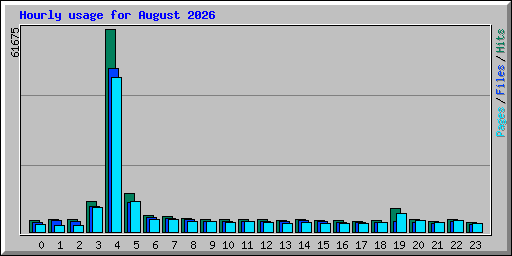 Hourly usage for August 2026